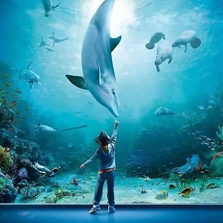 Viabado9 Mansarda Con Box アパート *